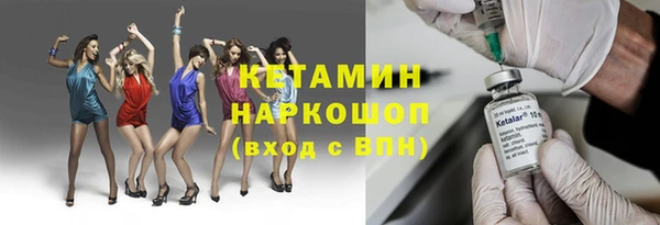 стаф Гусев