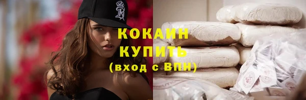 стаф Гусев