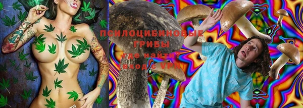 ПСИЛОЦИБИНОВЫЕ ГРИБЫ Гусиноозёрск