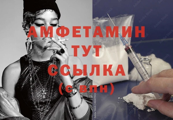 стаф Гусев
