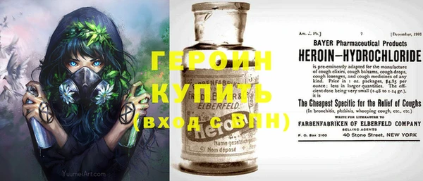 стаф Гусев